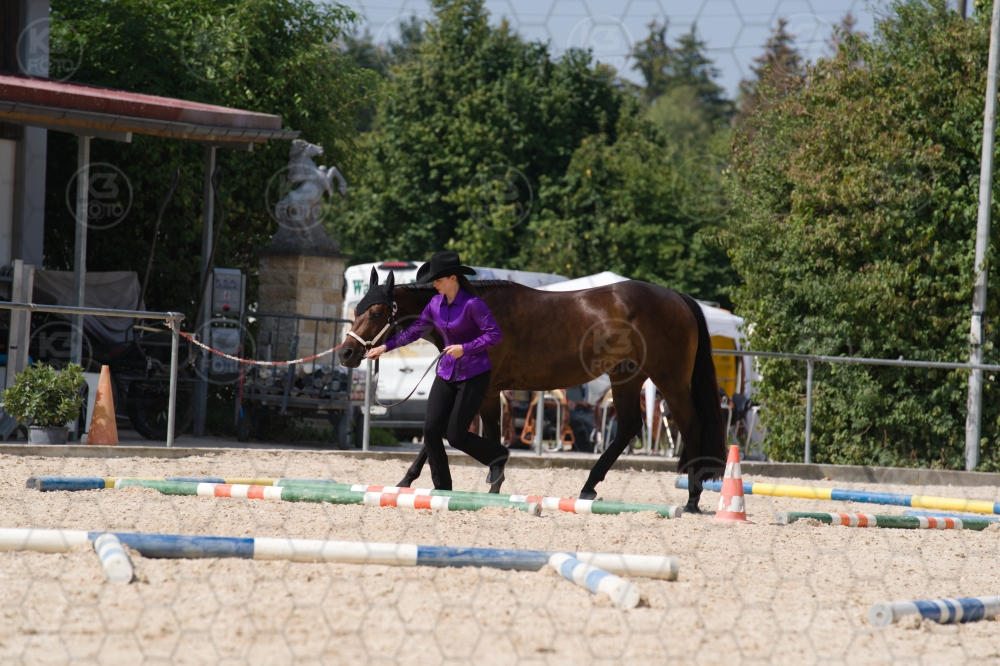 s_batch_A9_00176.jpg
